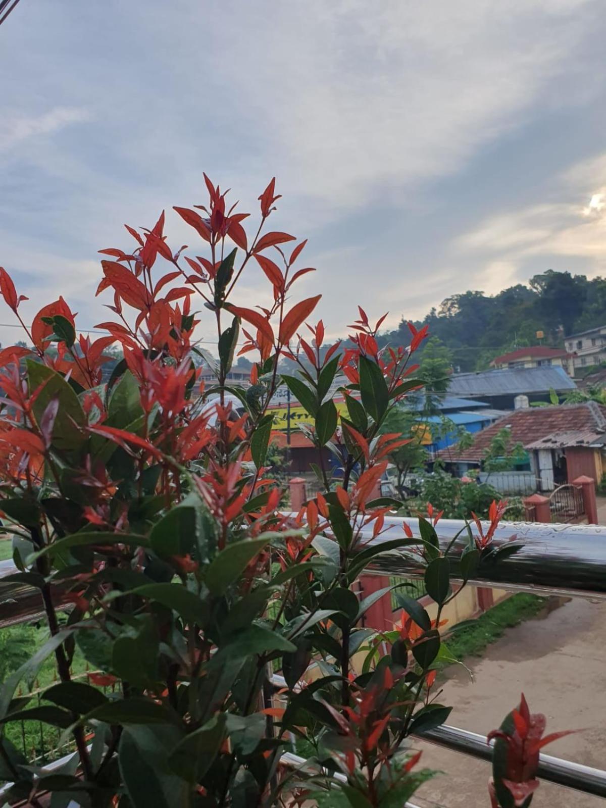 Varam Homestay 마디케리 외부 사진